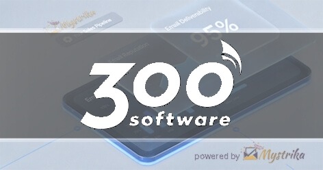 300 Software Agency logo