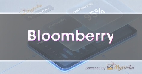 Bloomberry Branding & Design agency logo
